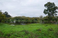 02-Antipatris
