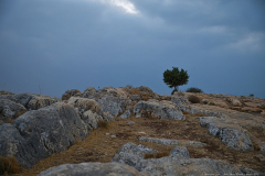 02-Arbel-Natural-Reserve-sunrise-2023
