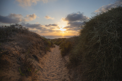 04-Arsuf-Summer-2025