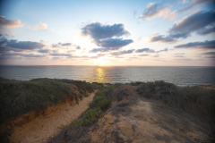 05-Arsuf-Summer-2025