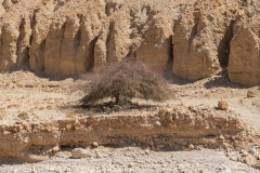 01-Arugot-Wadi-Dead-Sea