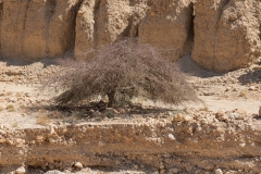 02-Arugot-Wadi-Dead-Sea