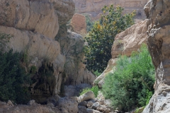 07-Arugot-Wadi-Dead-Sea