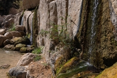 12-Arugot-Wadi-Dead-Sea