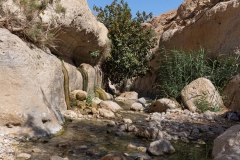 14-Arugot-Wadi-Dead-Sea