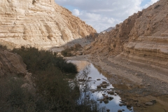 03-עין-עבדת