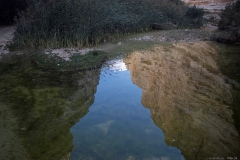 06-עין-עבדת