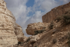12-עין-עבדת