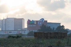 MG_0006