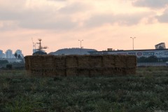 MG_0025