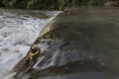 MG_0010