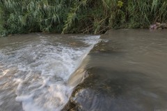 MG_0013