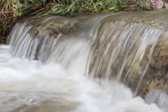 MG_0018-2