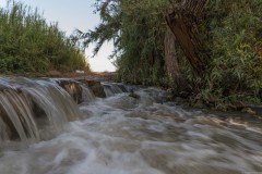 MG_0020-2
