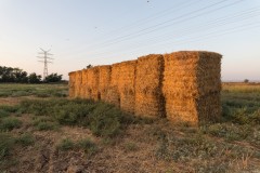 MG_0033