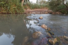 MG_0039