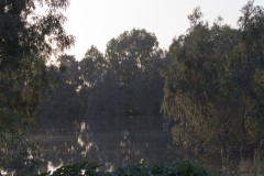 1_MG_0104