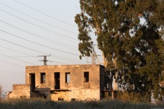 MG_0008