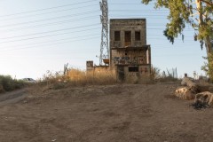 MG_0012