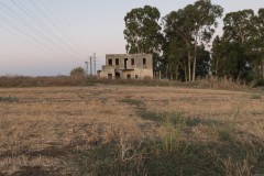 MG_0038