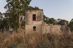 MG_0043