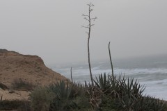 1_MG_0008