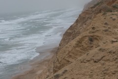 1_MG_0010
