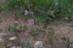 1_MG_0019