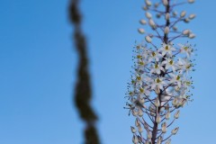 MG_0003-3