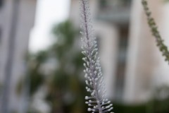 MG_0014