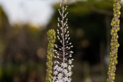 MG_0019