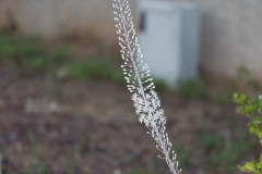 MG_0029