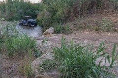 MG_0037-2