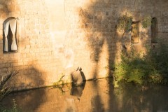 6D_mg_0013-3
