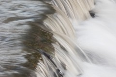 80D_mg_0016