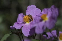 2_MG_0106