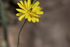 2_MG_0125
