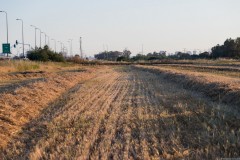 1_MG_0022