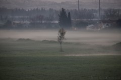 1_MG_0004