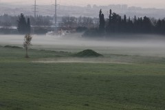 1_MG_0010