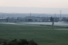 1_MG_0011