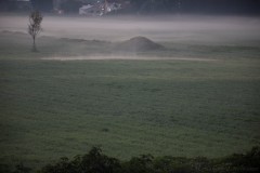2_MG_0002