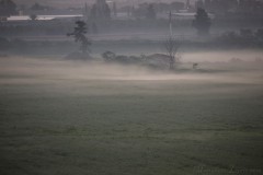 2_MG_0005