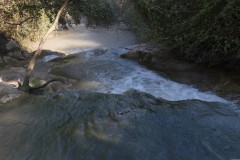 MG_0009-2