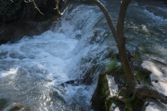 MG_0012