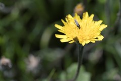 MG_0089