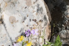 1_MG_0027