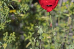 1_MG_0047
