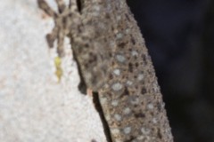1_MG_0028