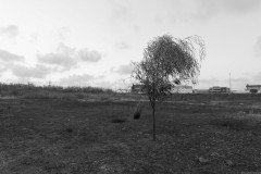 MG_0014